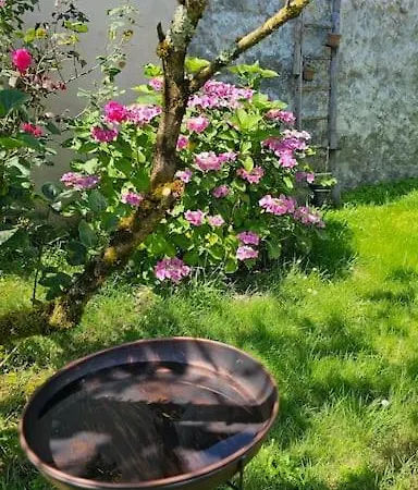 La Fontaine De Charme A 12min Du Puy Dufou *